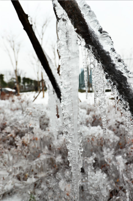 一場雪，體育中心美得不要不要的 但最美的風(fēng)景還是他們(圖4)