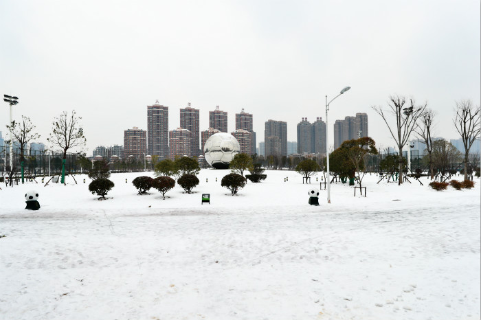 一場雪，體育中心美得不要不要的 但最美的風(fēng)景還是他們(圖2)