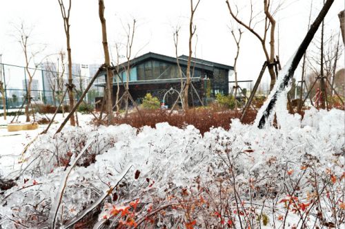 一場(chǎng)雪，體育中心美得不要不要的</br>但最美的風(fēng)景還是他們(圖2)